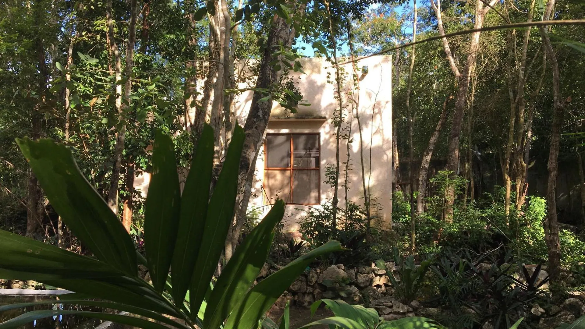 Barefoot Jungle Studios Tulum