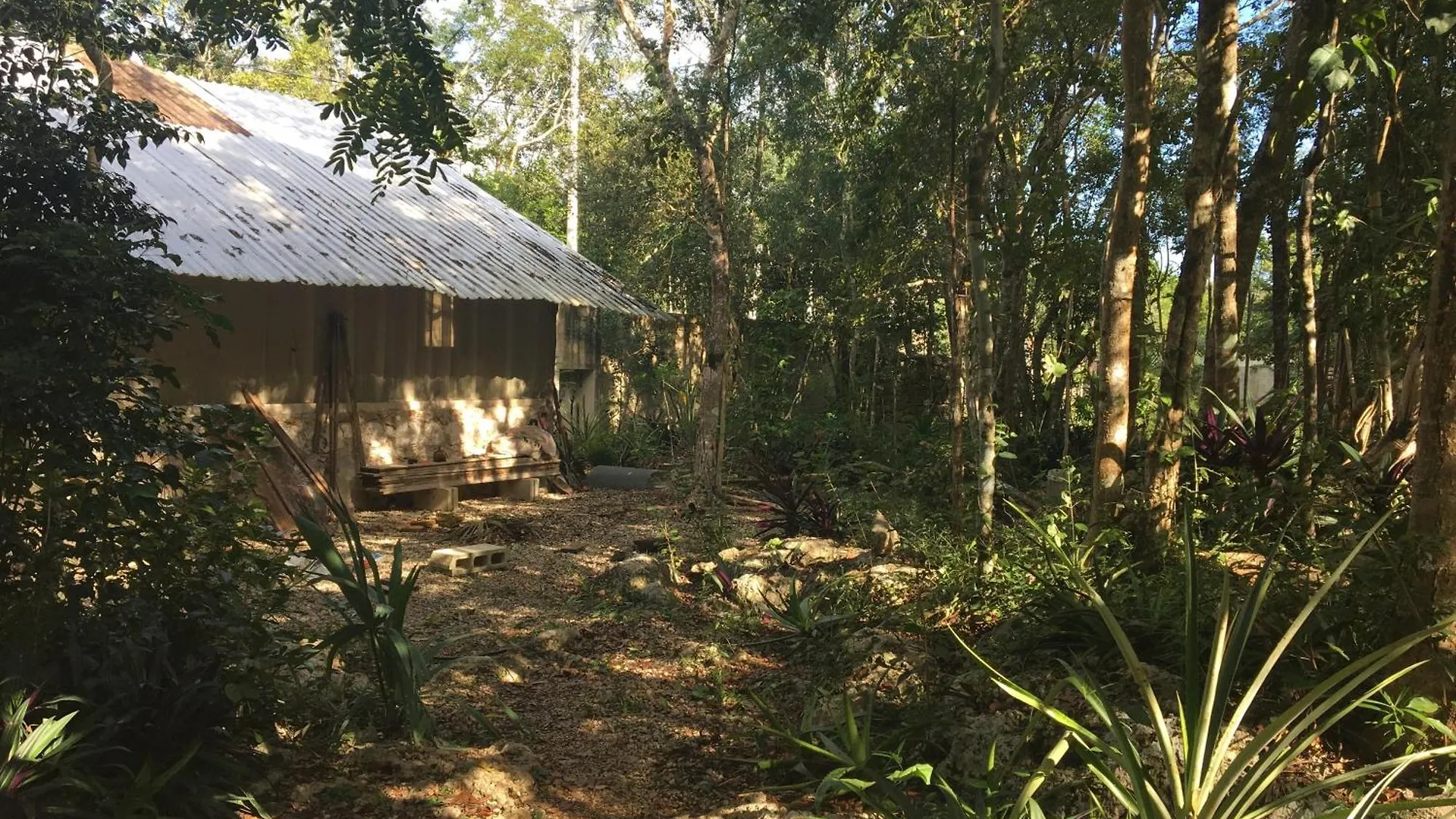 Barefoot Jungle Studios Tulum Mexikó