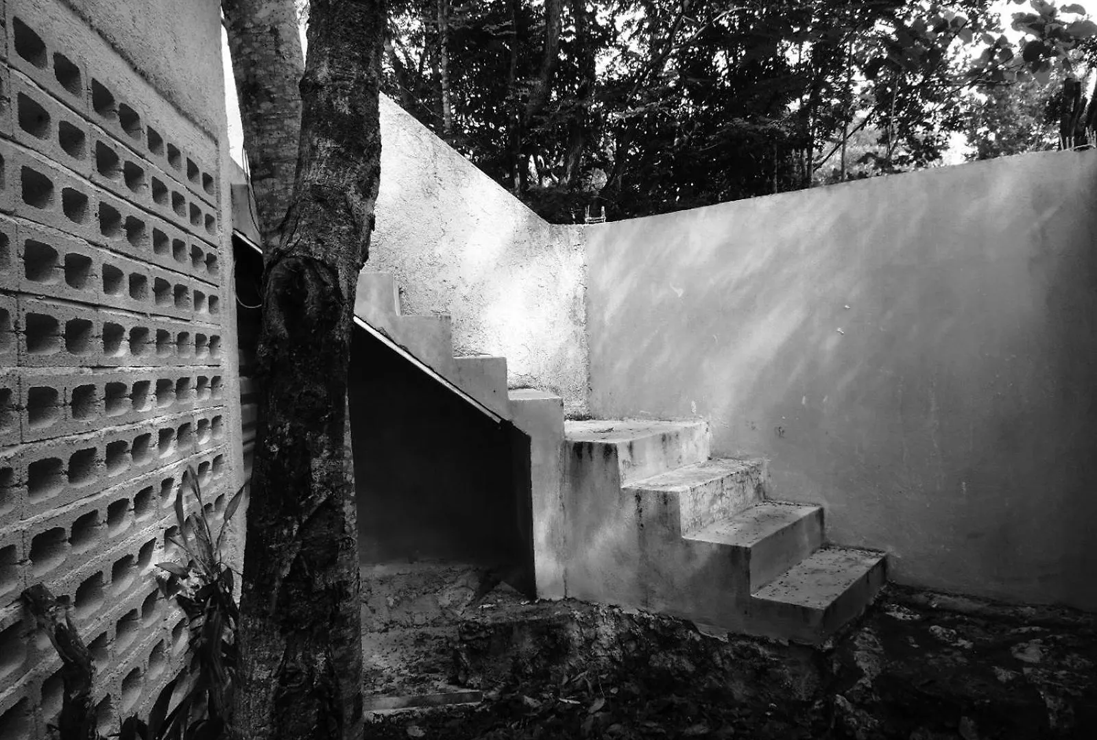 Barefoot Jungle Studios Tulum Mexikó